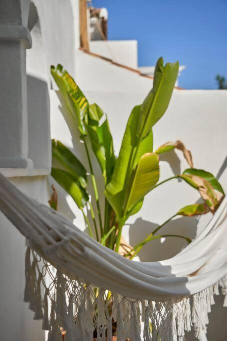 Esencia Marbella Private Pool Ferienhaus